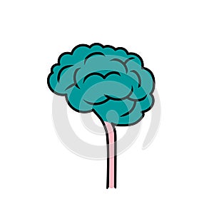 Brain tree udea illustration