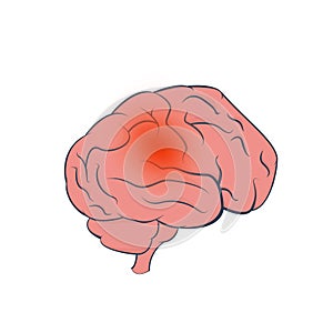 Brain tumor vector design