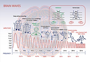 Brain waves