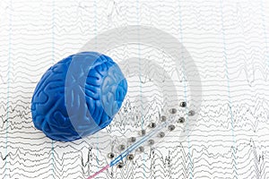 Brain waves recording electrodes and brain model