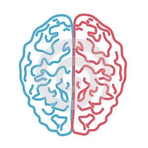 Brain on a white background. Linear silhouette of the two hemispheres.