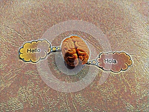 Brain with word hello shown in English and French photo