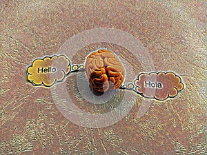 Brain with word hello shown in English and French