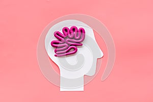 Brain work and studying. Plastiline meanders in head on pink background top view