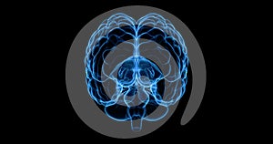 Brain X-Ray on Black Background. Hologram glow blue light Xray of Digital Brain Concept. Science Technology Anatomy