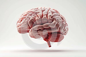 Brainpower representation 3D rendered human brain isolated on white