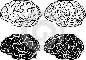 Brains and electronic brains