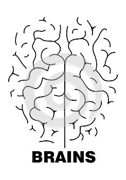 Brains Human brain top view. Line drawing illustration