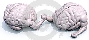 Brains that make arm wrestlin