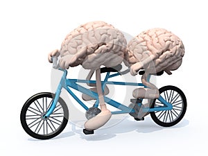 Brains riding tandem bicycle
