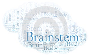 Brainstem word cloud.