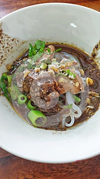 Braised beef clear noodle with meat ball soup stew