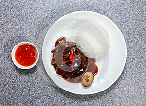 Braised Pork Trotter with Rice served in dish isolated on grey background top view of hong kong food