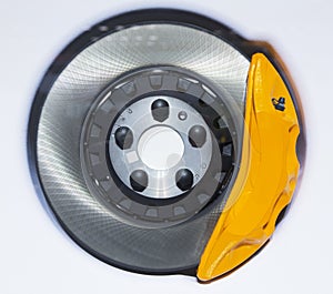 Brake disc with pads assembly