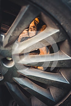 Brakes painted yellow in a sports car, visible through aluminum rims.