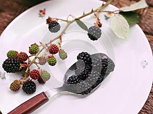 Brambleberries photo