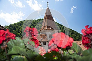 Bran Castle Dracula s Castle