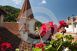 Bran Castle Dracula s Castle