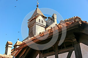 Bran Castle - Dracula s Castle