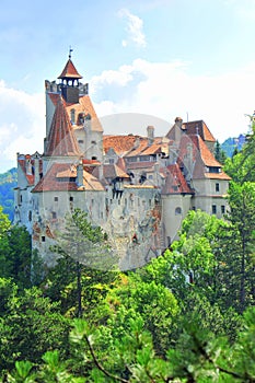 Bran castle overlooking the forest