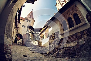 Bran Castle, Romania photo