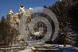 Bran castle in winter landscape