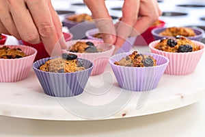 Bran muffins with dry cranberries close up in baking silicon cups on white background.