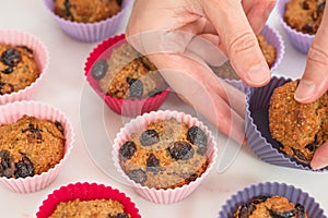 Bran muffins with dry cranberries close up in baking silicon cups on white background.