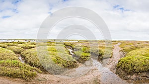 Brancaster Staithe marshes panorama