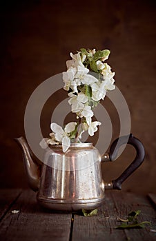 A branch of an apple tree in an iron kettle on a crowning background. With copy space.