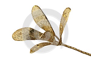 a branch with artificial leaves covered with gold sequins, a festive decoration
