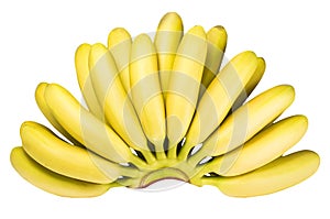 Branch of baby bananas isolated on white background