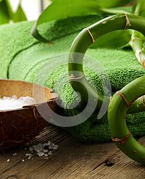 Branch of bamboo, sea salt and towel - spa concept