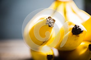 Branch of bananas on the rustic background