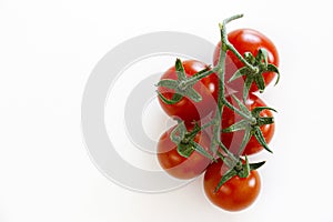 Branch of beautiful juicy organic red cherry tomatoes on white background.