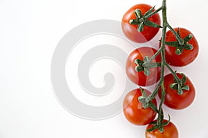 Branch of beautiful juicy organic red cherry tomatoes on white background.