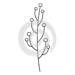 Branch with berries vector botanical illustration. Winter forest greenery clipart.