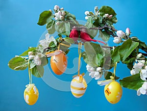 A branch of a blooming apple tree, cute red birds and colorful eggs close-up on a blue background.