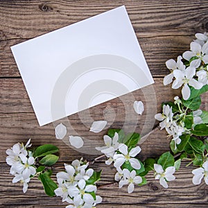 A branch of a blooming apple tree with white flowers and a sheet of paper on a wooden background, with a copy space