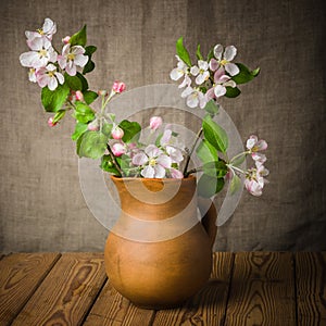 Branch of a blossoming apple-tree in a clay pitcher