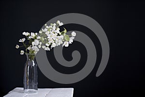 A branch of a blossoming apple tree in a glass bottle instead of a vase against a dark blue wall