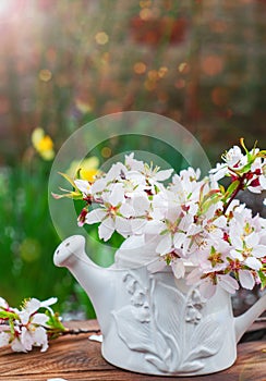 Branch of blossoming minal in a white vase