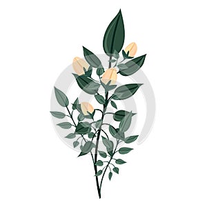 A branch of a blossoming tree. Leaves and flowers. Isolated vector botanical clip art element for design.
