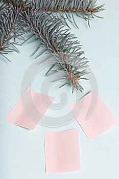 The branch of blue spruce lies on a light green textured background. Nearby are pasted three paper stickers.