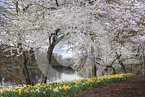 Branch Brook Park