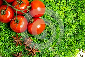 Branch of cherry ripe tomatoes on green grass, anise stars