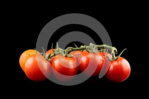 Branch of cherry tomato Isolated on black background. Fresh cherry tomatoes isolated on black. Tomato isolated