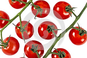 Branch of Cherry Tomato Isolated on white background. Top view. Fresh cherry tomatoes isolated on white. Tomato isolated.