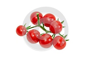 Branch of cherry tomato on a light background