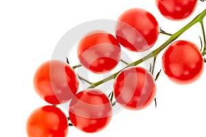 Branch of cherry tomato mini red many fruits on white background closeup of delicious fresh vegetable